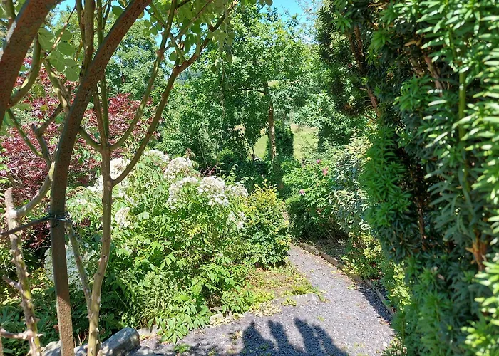 Bron-Y-Graig