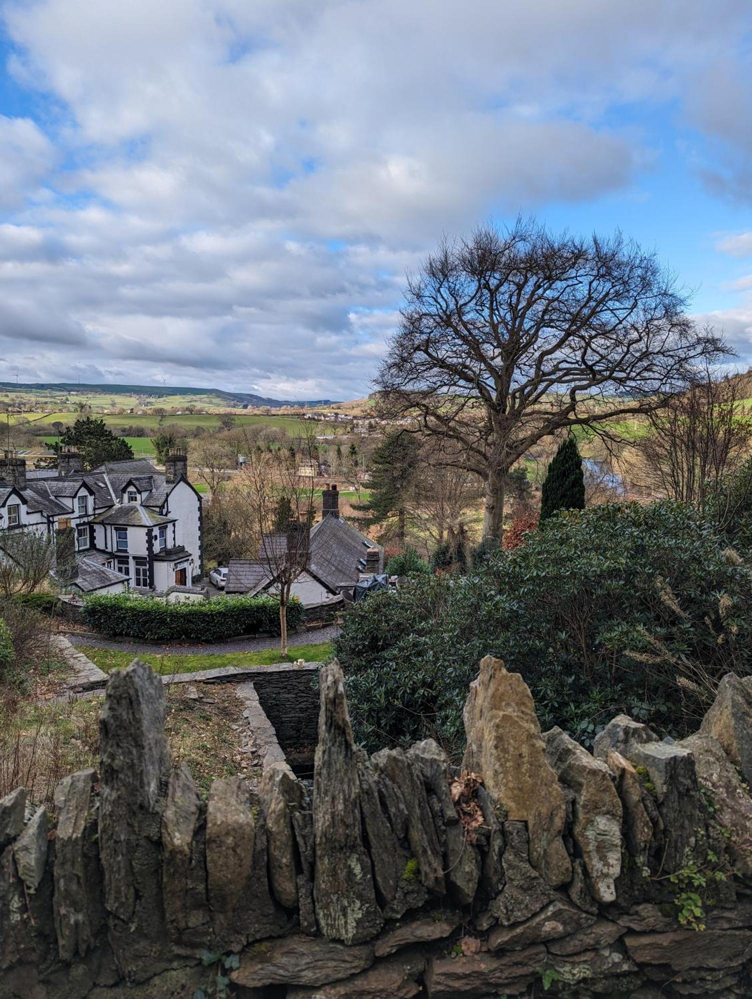 Bron-y-graig